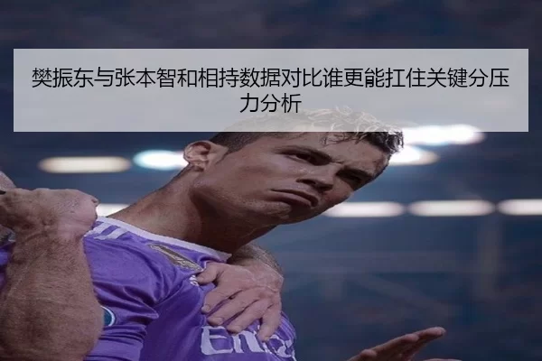 樊振东与张本智和相持数据对比谁更能扛住关键分压力分析